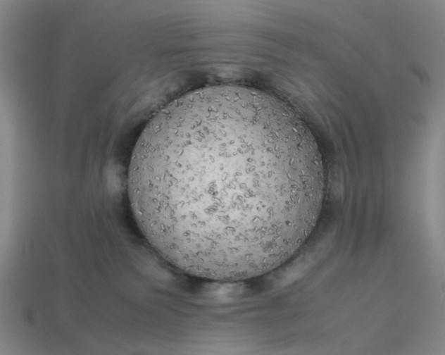 X0000113250135200910011354