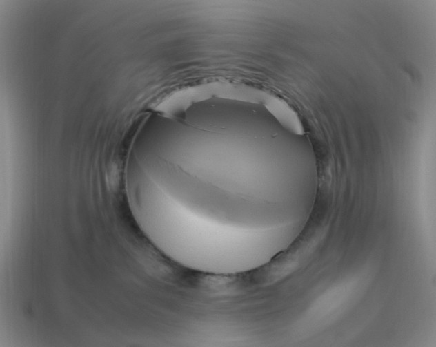 X0000113250139200910011354