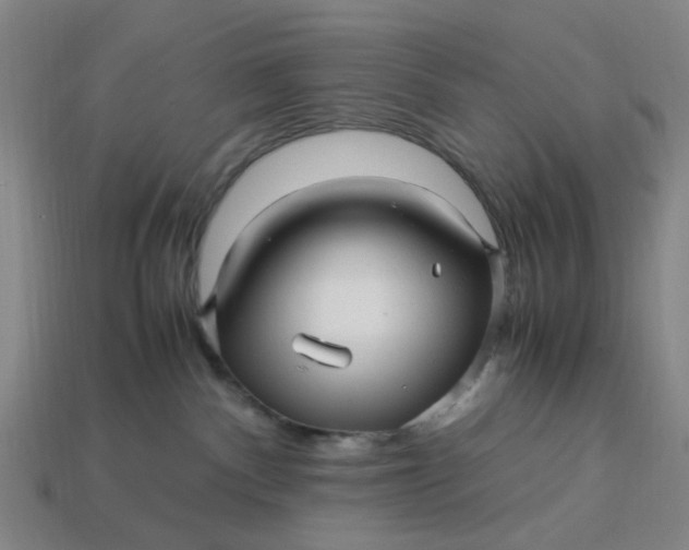 X0000113250140200910011354