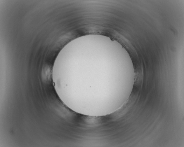 X0000113250142200910011354