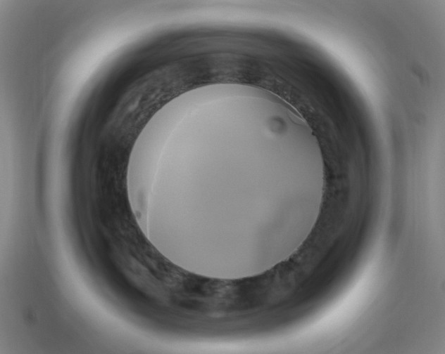 X0000113250143200910011354