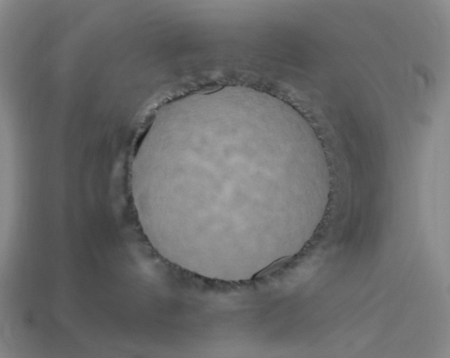 X0000113250144200910011354