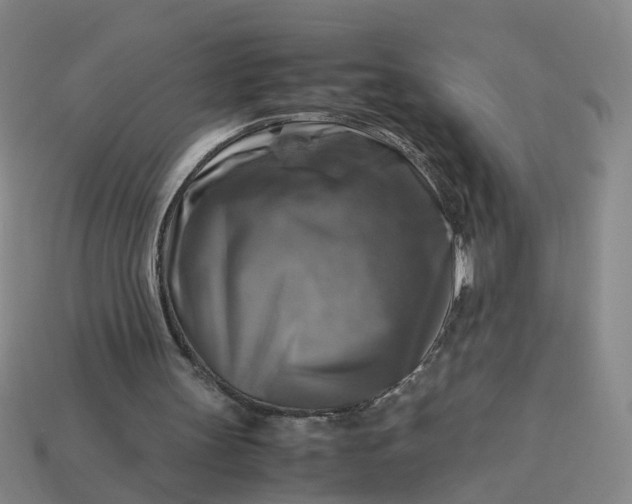 X0000113250147200910011353