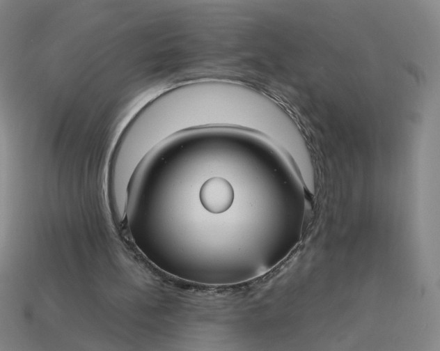 X0000113250148200910011353