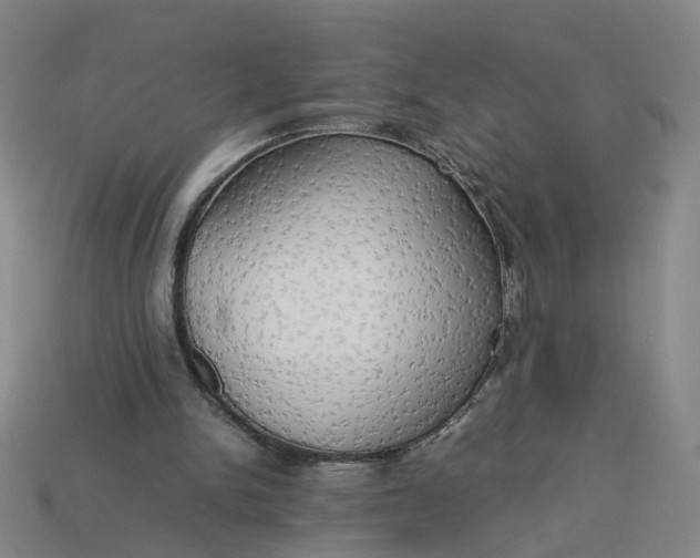 X0000113250150200910011353