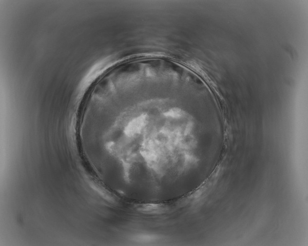 X0000113250151200910011353