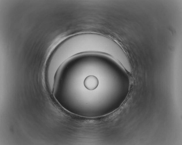 X0000113250152200910011353