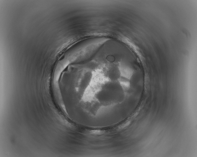 X0000113250153200910011353