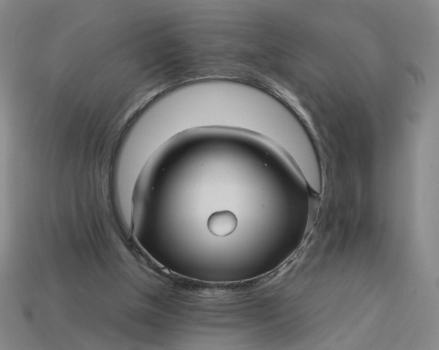 X0000113250154200910011353