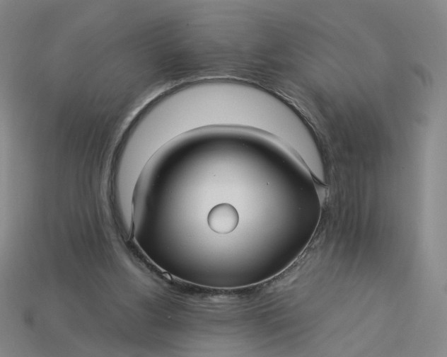 X0000113250156200910011353