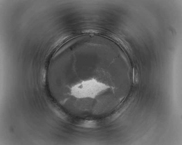 X0000113250157200910011353