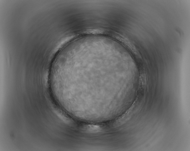 X0000113250159200910011353