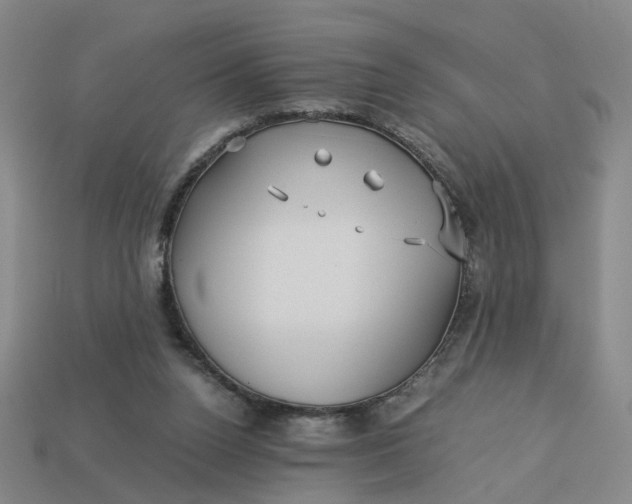 X0000113250160200910011353