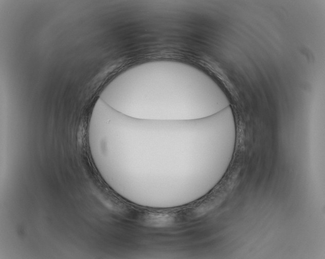 X0000113250161200910011353