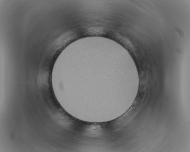 X0000113250162200910011353