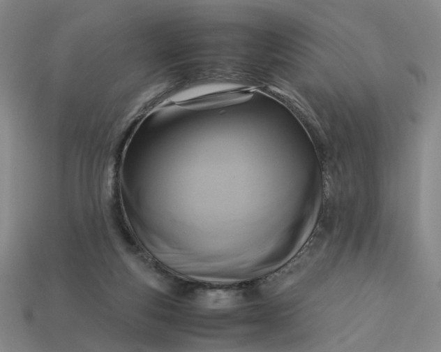 X0000113250163200910011353