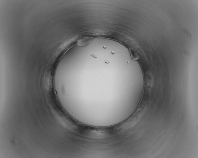 X0000113250164200910011353