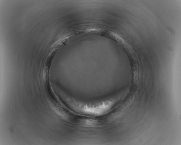 X0000113250165200910011354