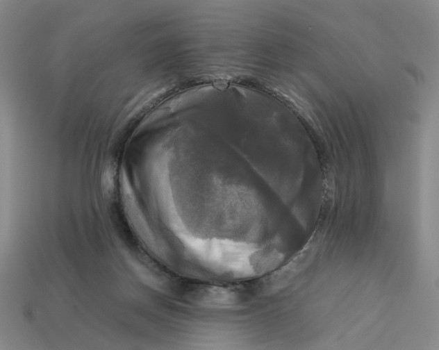 X0000113250166200910011354