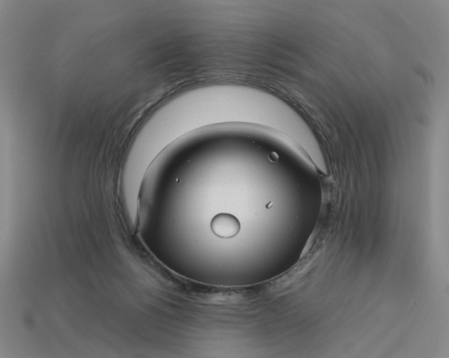 X0000113250168200910011354