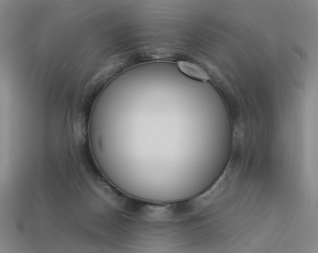 X0000113250170200910011354