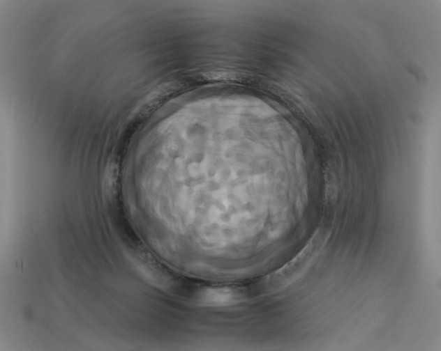 X0000113250171200910011354