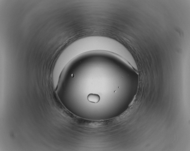 X0000113250172200910011354