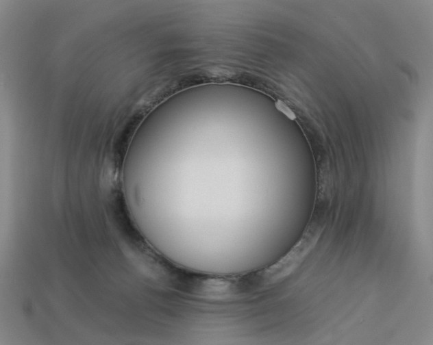 X0000113250176200910011354