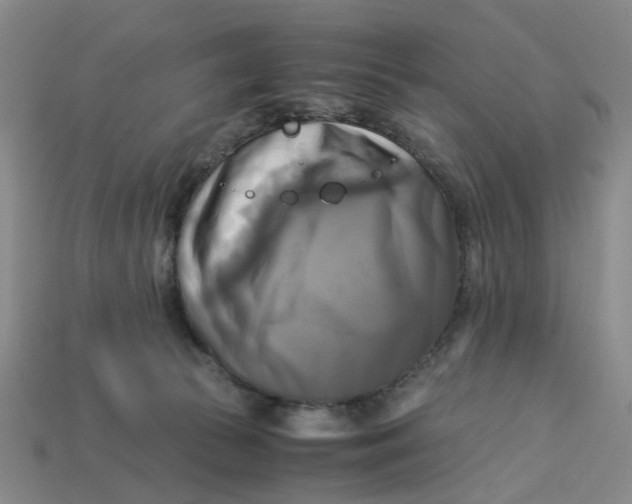 X0000113250177200910011354