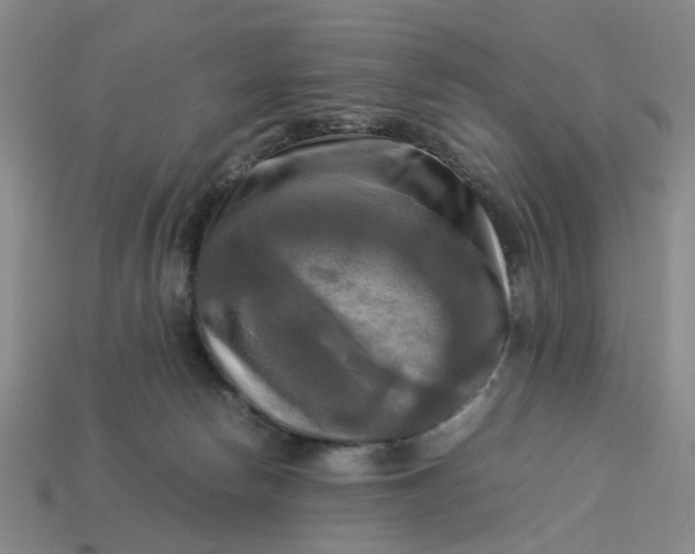 X0000113250178200910011354