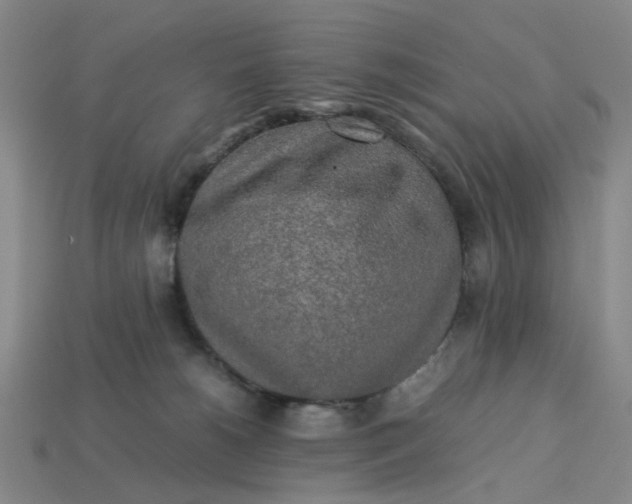 X0000113250180200910011354