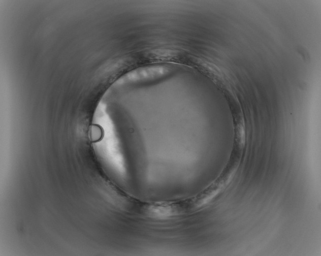 X0000113250181200910011354