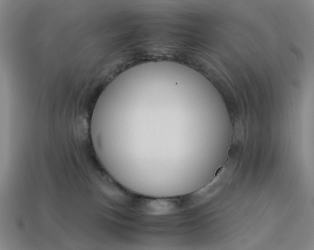 X0000113250183200910011354