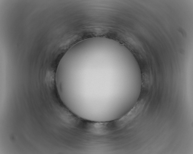 X0000113250184200910011354