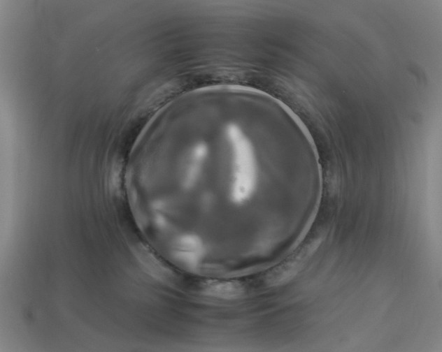 X0000113250185200910011354