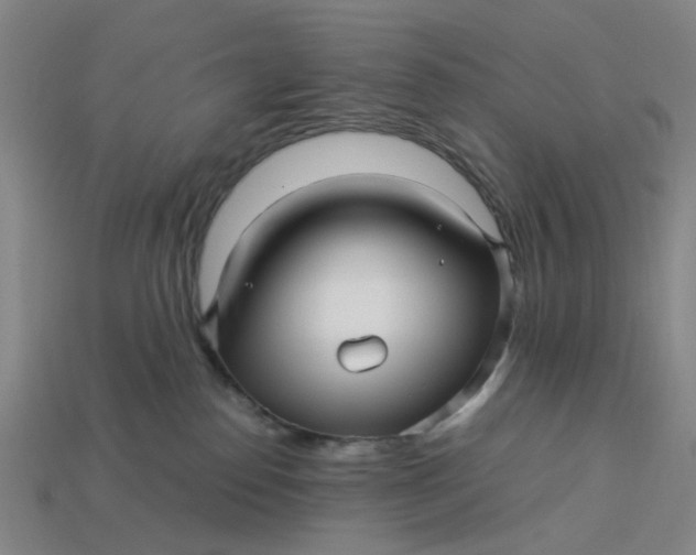 X0000113250186200910011354