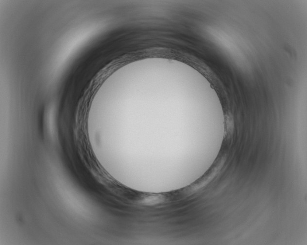 X0000113250189200910011354