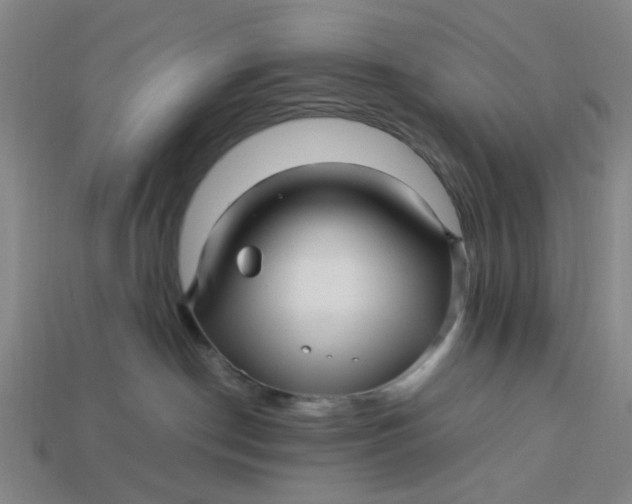 X0000113250190200910011354