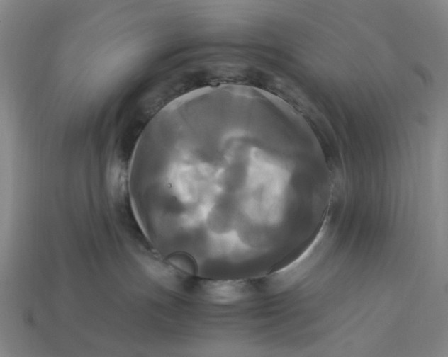 X0000113250191200910011354