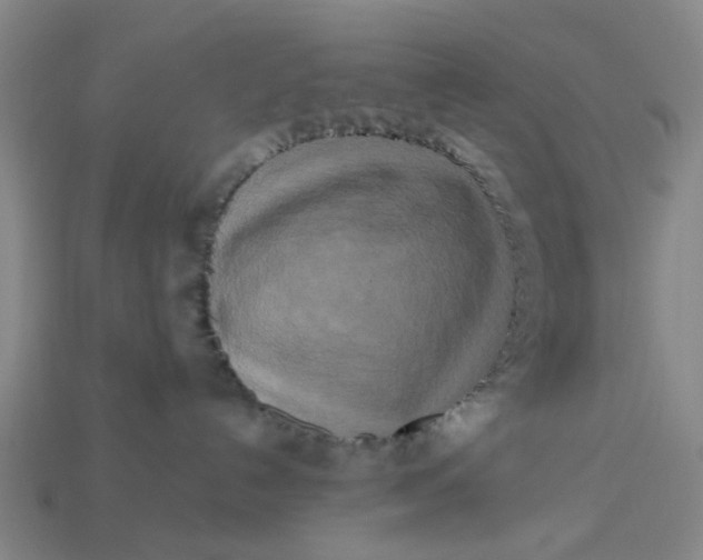 X0000113250192200910011354