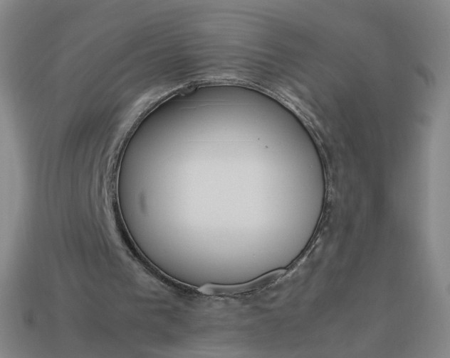 X0000113250193200910011353