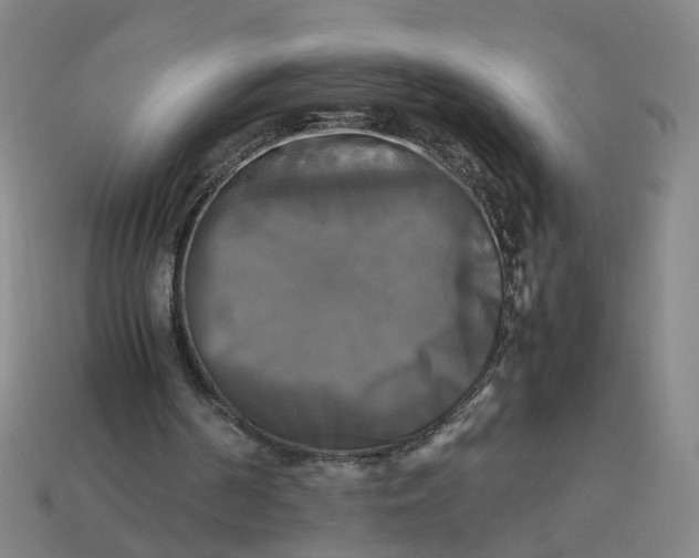 X0000113250194200910011353