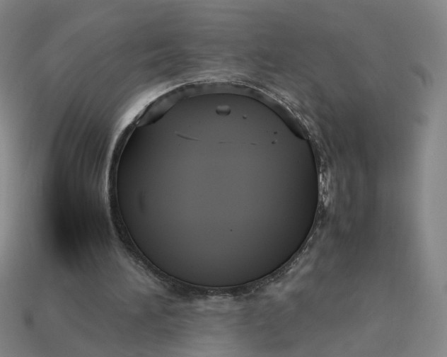 X0000113250196200910011353