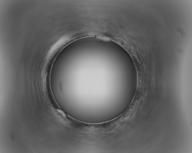 X0000113250197200910011353