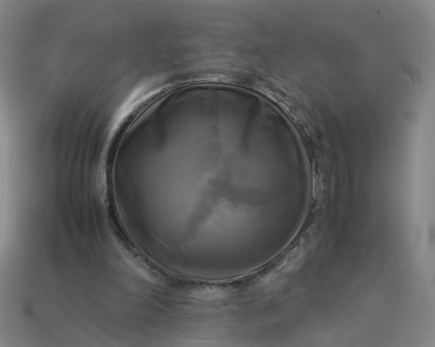 X0000113250198200910011353