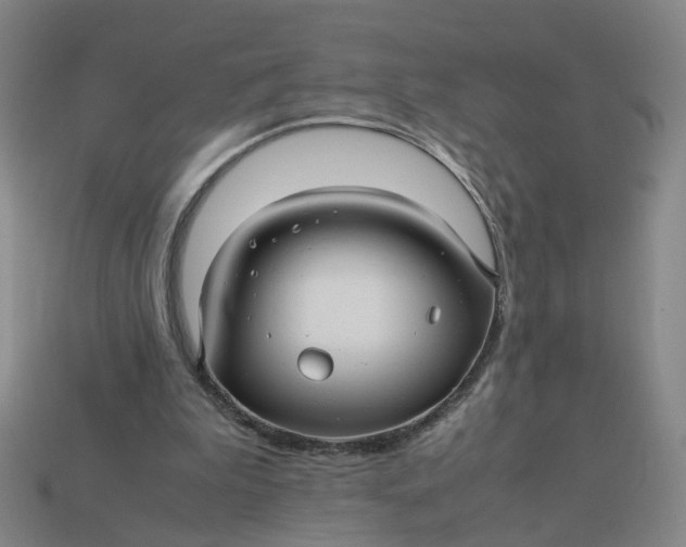 X0000113250199200910011353