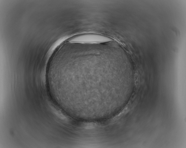 X0000113250200200910011353