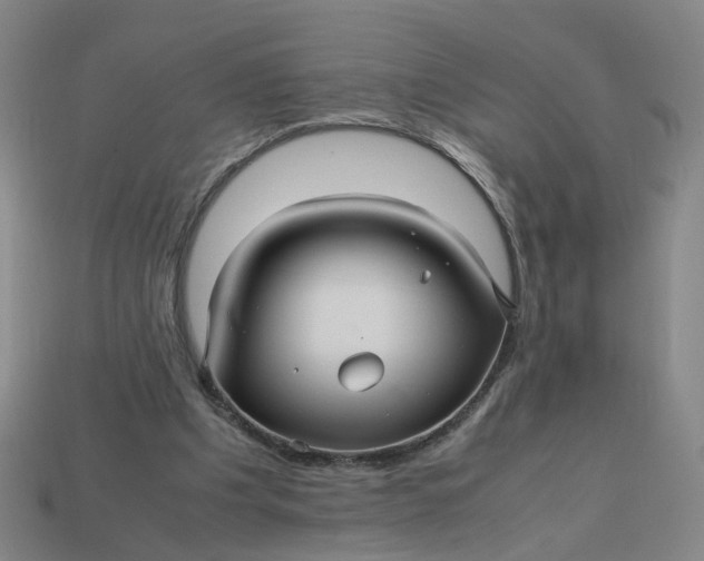 X0000113250201200910011353