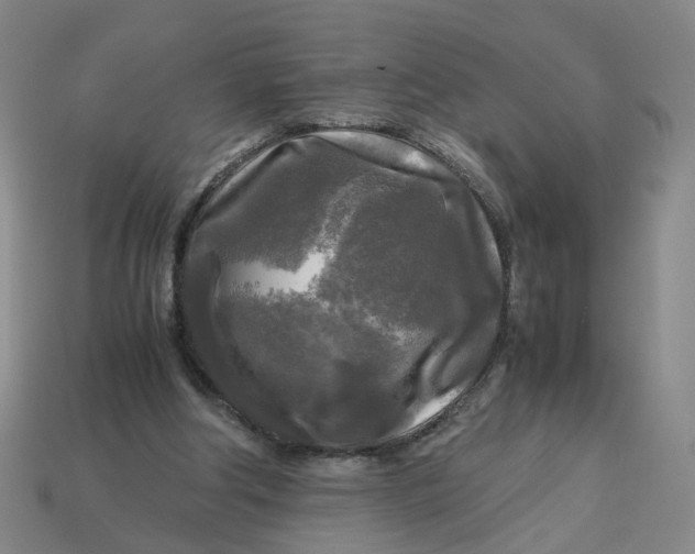 X0000113250202200910011353