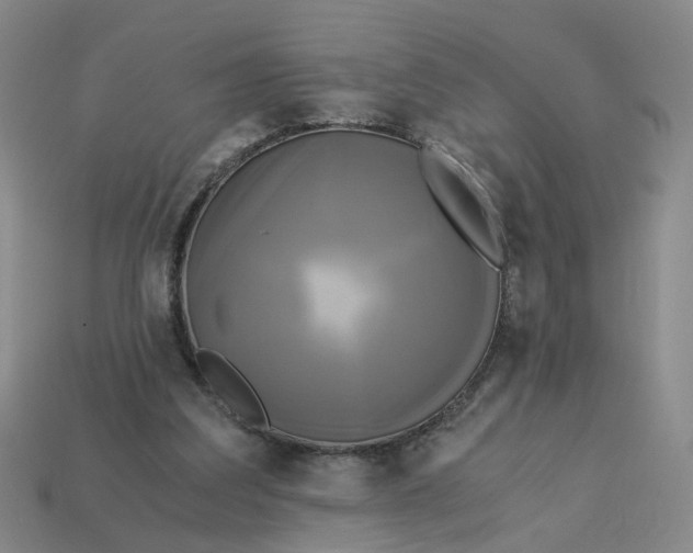 X0000113250203200910011353